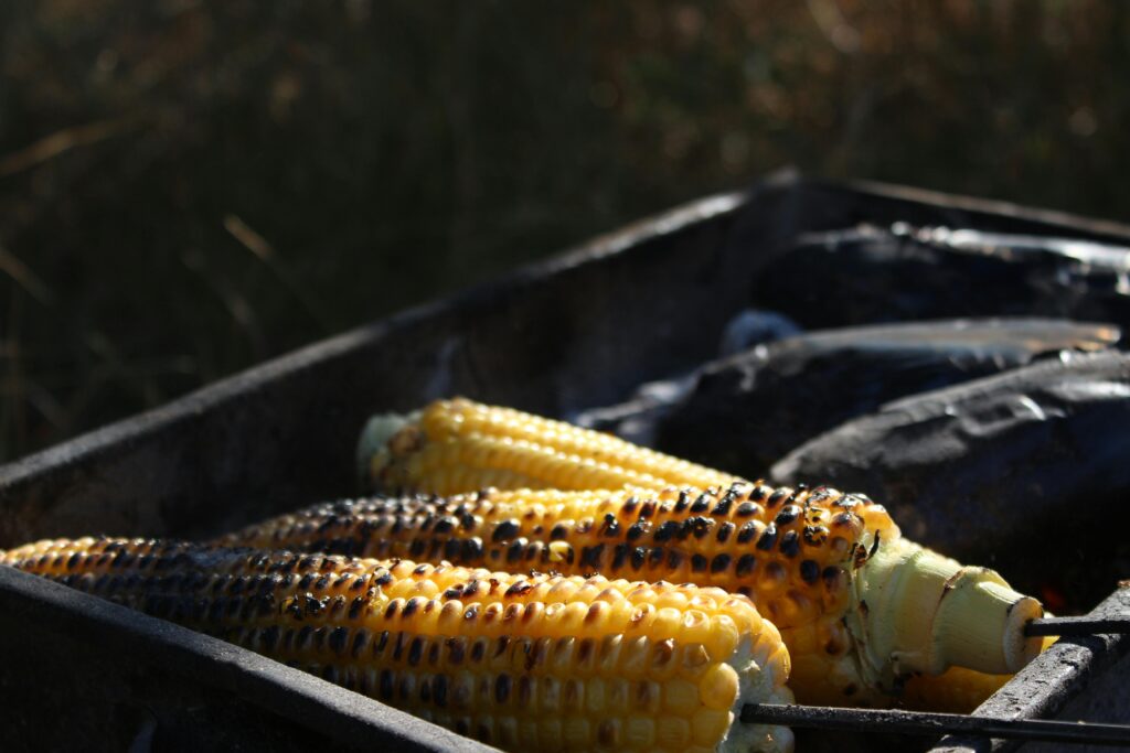 Charred and delicious grilled corn on the cob on a barbecue, perfect for a summer cookout.