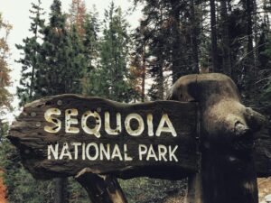 Rustic wooden sign at Sequoia National Park entrance surrounded by forest.